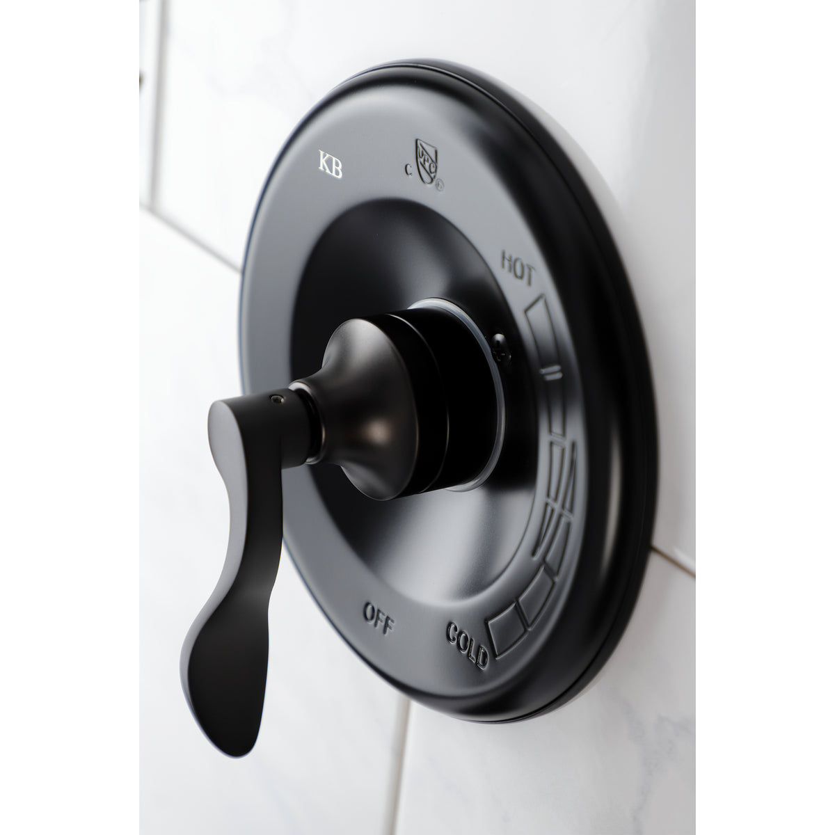 Tub and Shower Faucet