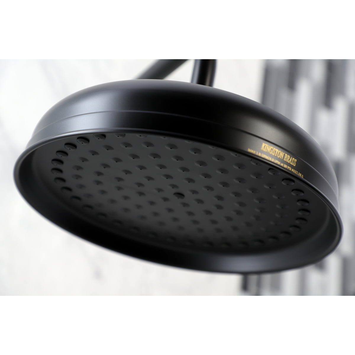 Trimscape 10 in. Showerhead with 17 in. Shower Arm